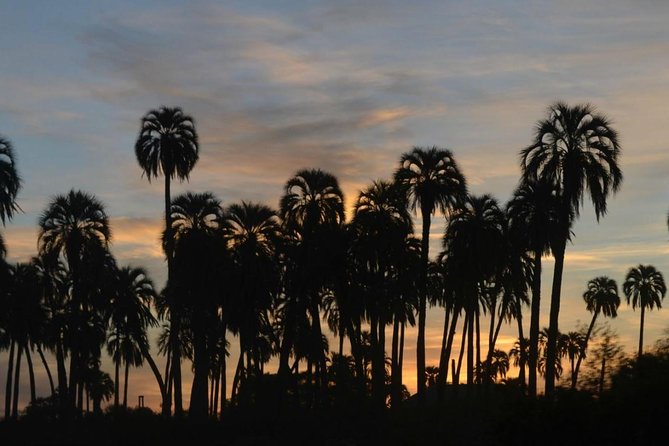 El Palmar National Park Admission Ticket - Wildlife Viewing Opportunities