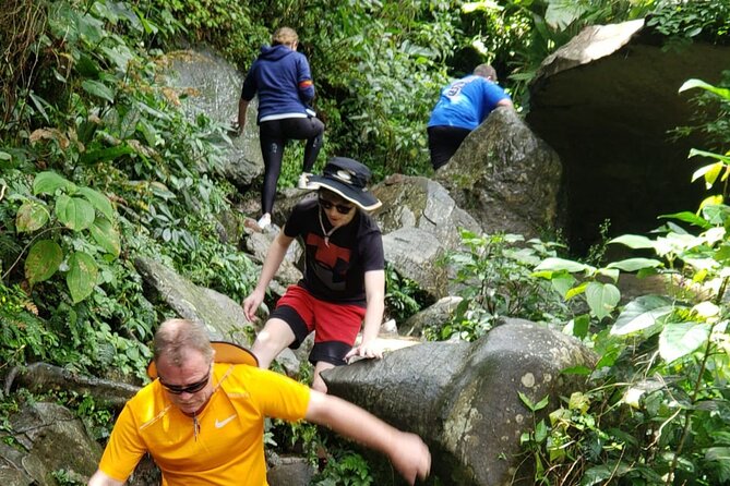 El Yunque Rainforest Guided Tour - Cancellation Policy