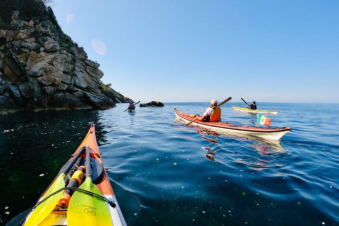 Elba Island Full Day Sea Kayak Tour - Accessibility Considerations