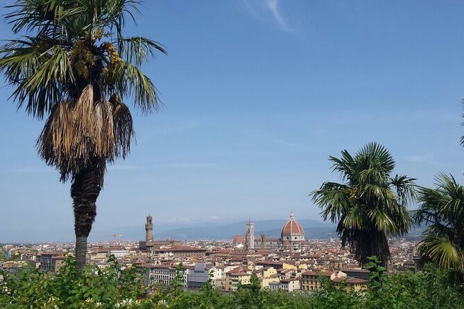 Electric Vespa Self-Drive Tour of Florence Hills With Local Products Tasting - Participant Requirements