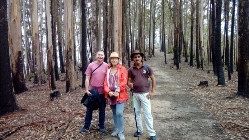Ella: Pekoe Trail Stage 15 Trekking From Makulela to Ella - Route Details