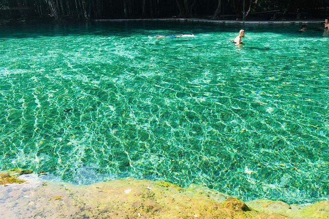 Emerald Pool: Jungle Tour, Private Full Day With Lunch - Accessibility Information
