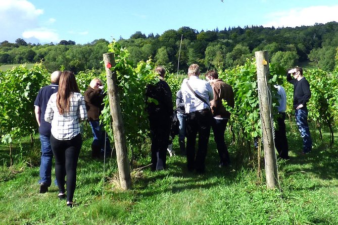 English Wine and Cheese Tour From London - Accessibility and Participation