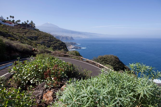 Enogastronomic Tour- 4 Hours in Tenerife - Transportation and Lunch