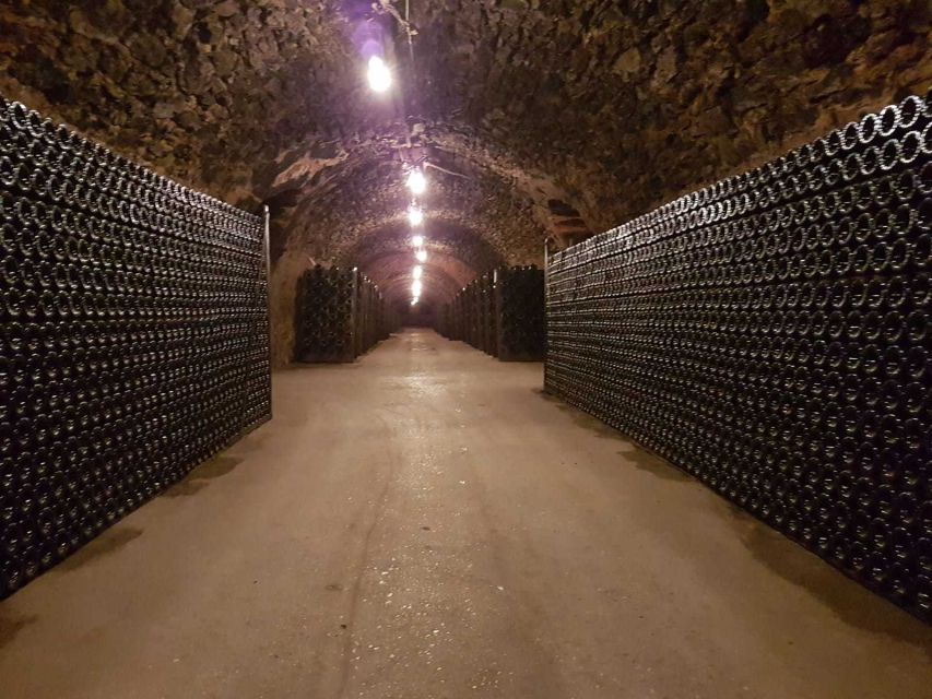 Epernay: Guided Tour of Champagne Cellar With Tastings - Important Information