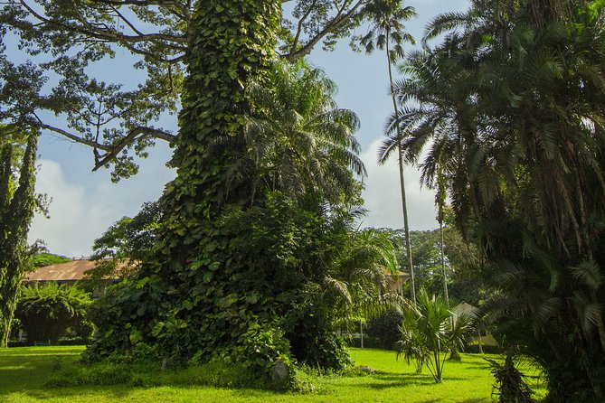 Escape Accra City to Aburi Gardens and Tetteh Quarshie Cocoa Farms - Schedule and Availability