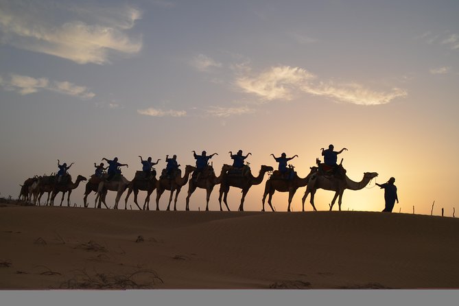 Essaouira 2-Hour Camel Adventure Ride - Experience Highlights