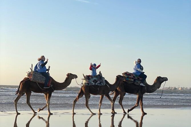 Essaouira Private Camel Ride (1 Hour). - Customer Testimonials