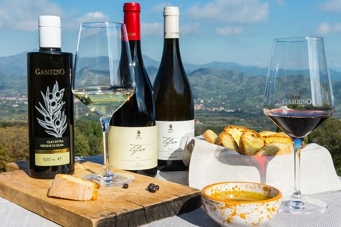 Etna Private Tour From Messina Cruise Terminal + Lunch at Winery - Cable Car Ride to Sartorius Craters