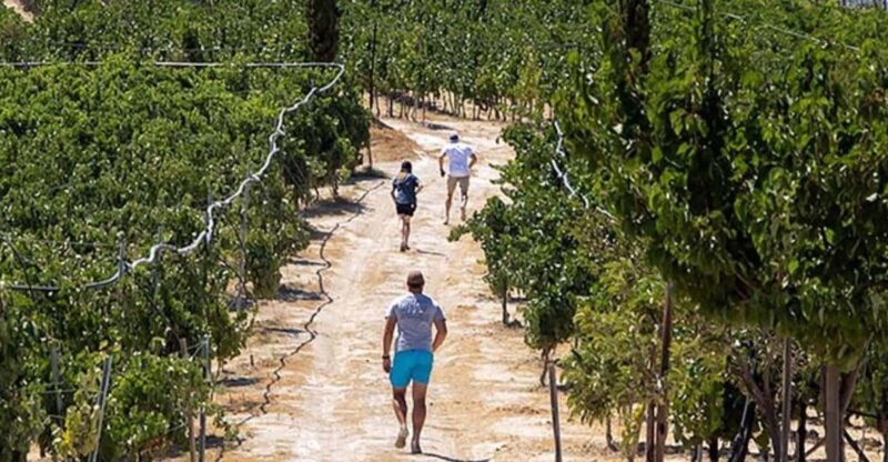 EUPHORIA Wine Tour & Tasting at Douloufakis Vineyards - Winery Facilities Tour