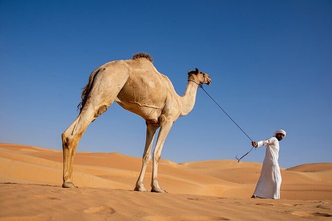 Evening Desert Safari Abu Dhabi With BBQ Dinner & Shows - Cancellation and Refund Policy