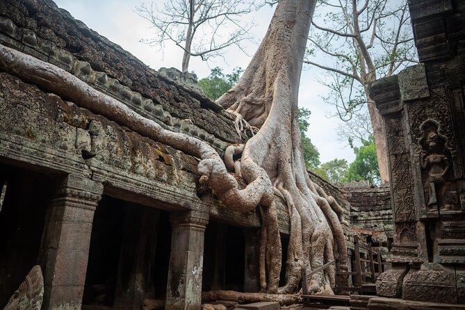 Exclusive ANGKOR Archaeological Sunrise Tour - Guest Reviews