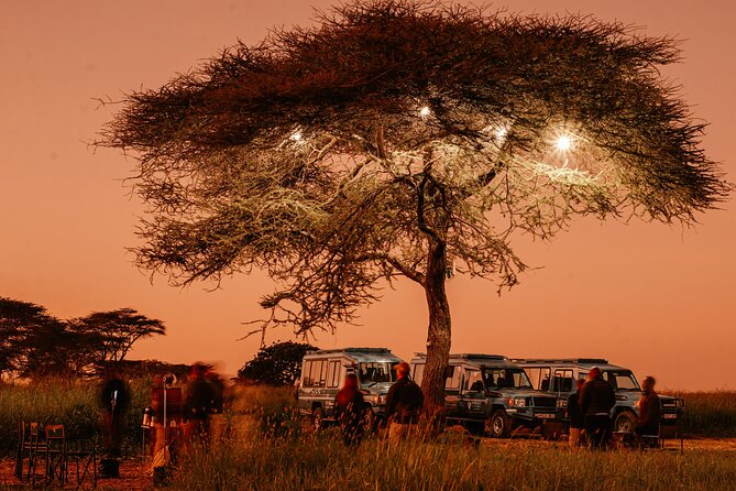 Exclusive Balloon Safari & Breakfast in Serengeti & Tarangire - Pricing and Booking Information