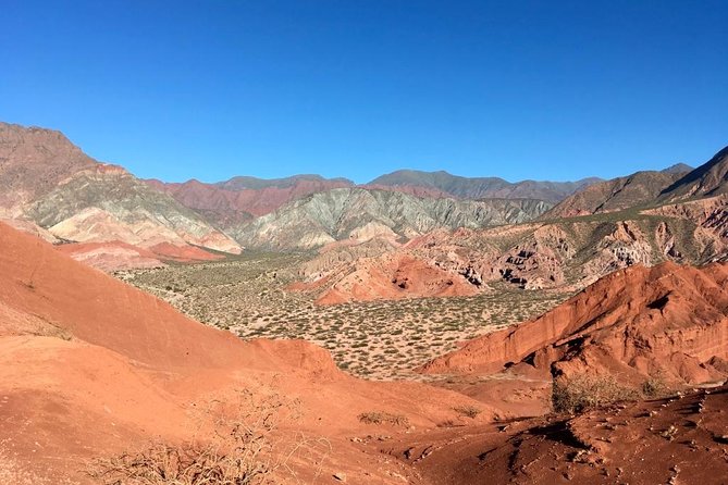 Exclusive Day-Long Private Tour of Cafayate Vineyards - Pricing and Reviews