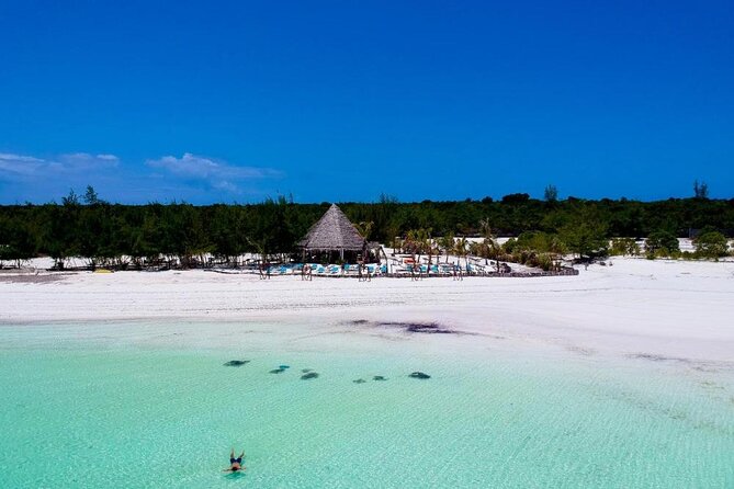Exclusive Full-Day Zanzibar Adventure: Jozani Forest, Hidden Gems - Exploring Jozani Forest