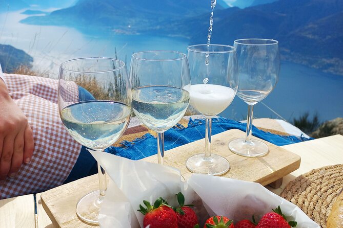 Exclusive Picnic in the Foothills of the Alps With the Lake Views - Booking and Cancellation
