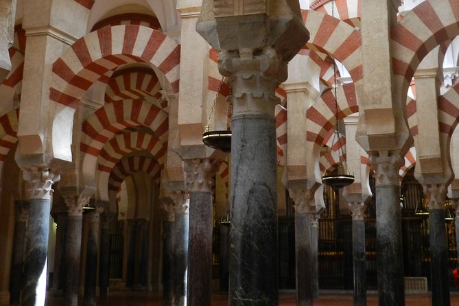 Exclusive Visit to the Mosque With Official Guide. Small Groups - Visitor Experiences