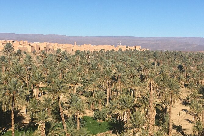 Excursion From Ouarzazate to Vallee Du Draa, Zagora and Dunes De Tinfou - Customer Experiences