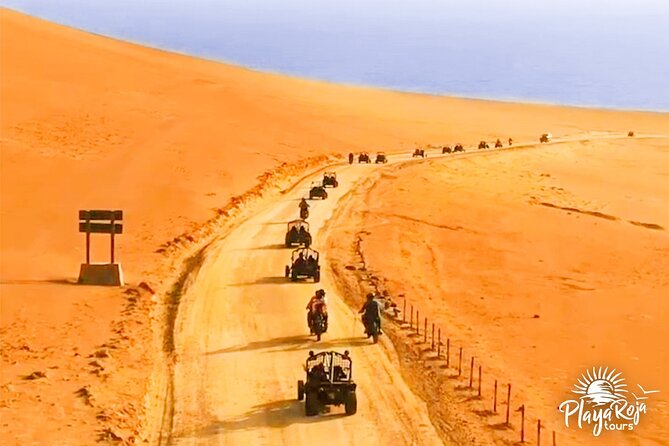 Excursion in Minibuggys in Paracas National Reserve - Safety and Accessibility