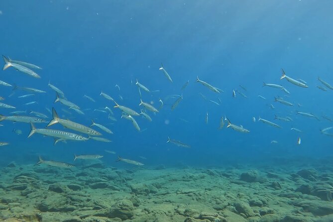 Experience Scuba Diving in Heraklion Crete - Important Considerations