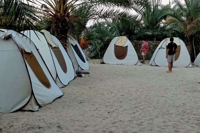 Experience Siwa Tour From Cairo & Giza All Inclusive - Booking Process and Pricing