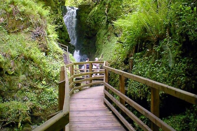 Experience the Antrim Coast and the Land of Giants - Private Tour - Private Transportation