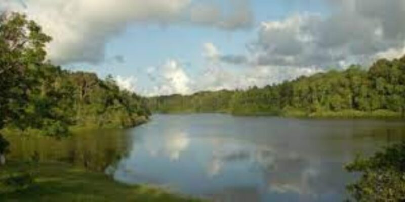 Exploration of Hiyare Forest Through a Nature-Guided Trek - Restrictions and Gratuity