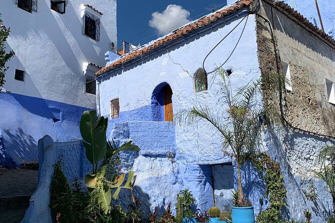 Explore Chefchaouen Like a Local - The Walking Tour Experience