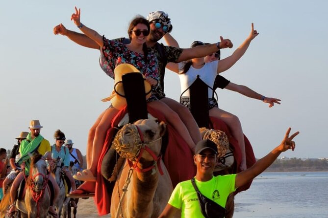 Explore Djerba With Our Four-Legged Friends - Customer Testimonials