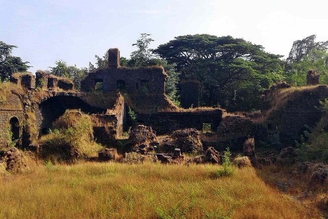 Explore Goa in a Nutshell - Spice Plantation Highlights