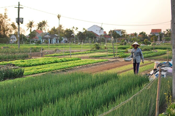 Explore Hoi an City or Da Nang City With Local Guide - Transportation and Pickup Information