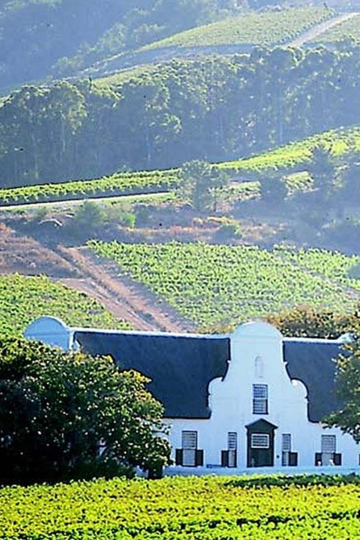 Explore Stellenbosch, Paarl, & Franschhoek Private Wine Tour - Tasting Experiences in Stellenbosch