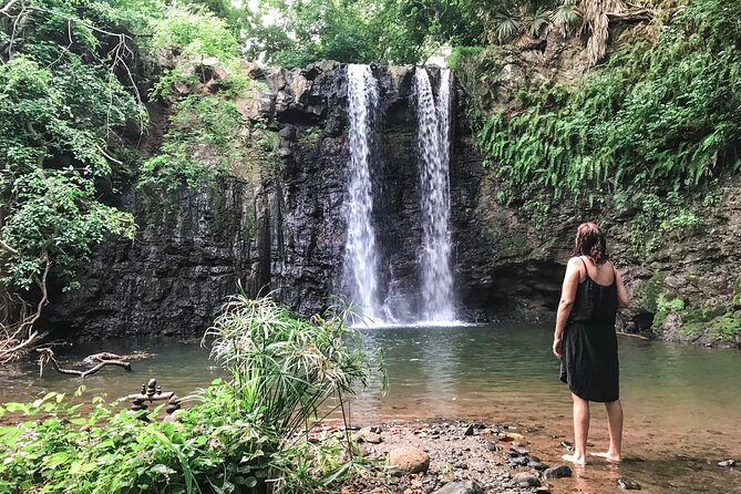 Explore The Wild South - Guided Hike Through Rugged Paths