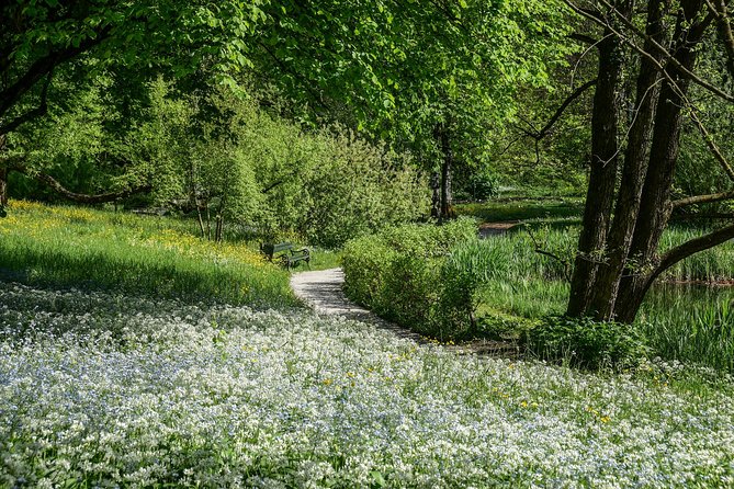 Exploring Ljubljana by Bicycle - Customer Reviews and Experiences