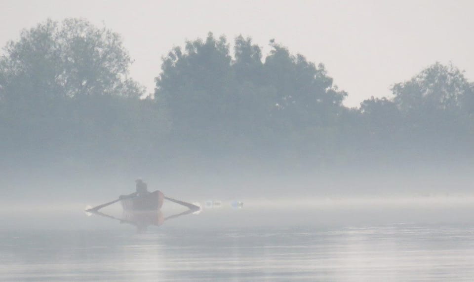 Exploring the Magic of the Danube Delta Through Photo Lenses - Essential Services and Amenities