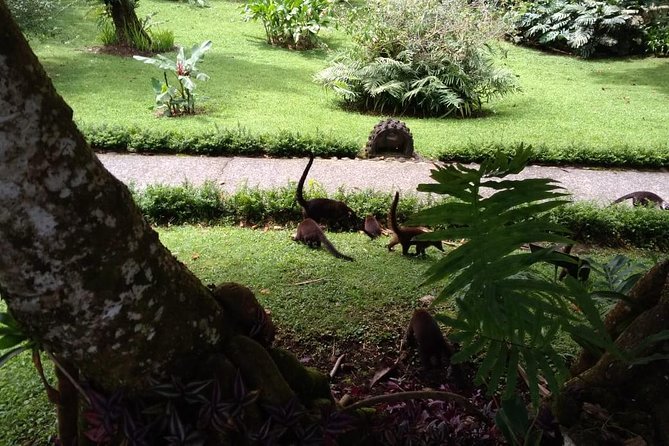 Extreme Volcano Lava Trails Hike in La Fortuna. (Onedaycombo) - Cancellation Policy