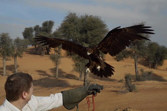 Falcon 1—Private Dubai Falconry Safari - Important Details to Know