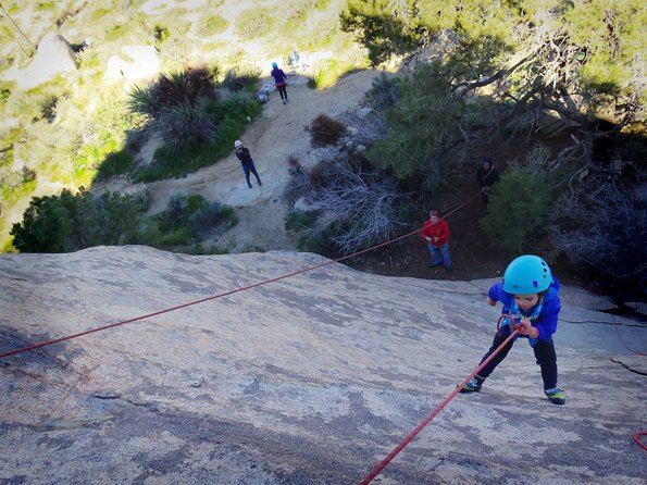 Family Rock Climbing Trips in Joshua Tree National Park (4 Hours) - Safety Measures and Guidelines