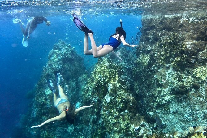 Family Snorkel Safari. ️Private Boat! - Health and Accessibility