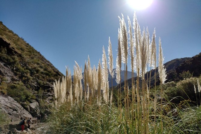 Family Trekking + Rappelling - Potrerillos: Angel Falls - Excluded Meals and Free Time