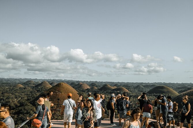 Famous Bohol Chocolate Hills Loboc River Cruise Tarsier Tour - Reviews and Ratings