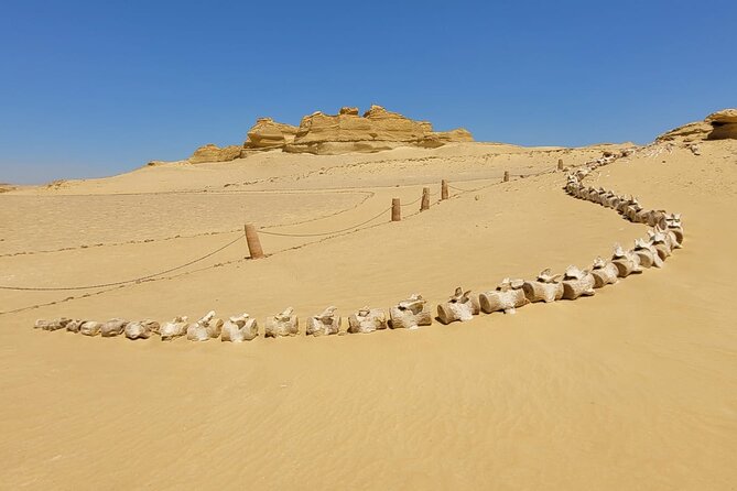Fayoum Adventure: Whales Valley,4x4 Desert Safari & Wadi Rayan - 4x4 Desert Safari