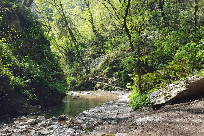 Ferriere Waterfalls Walk - Amalfi and Ravello Coast - What to Expect During the Hike