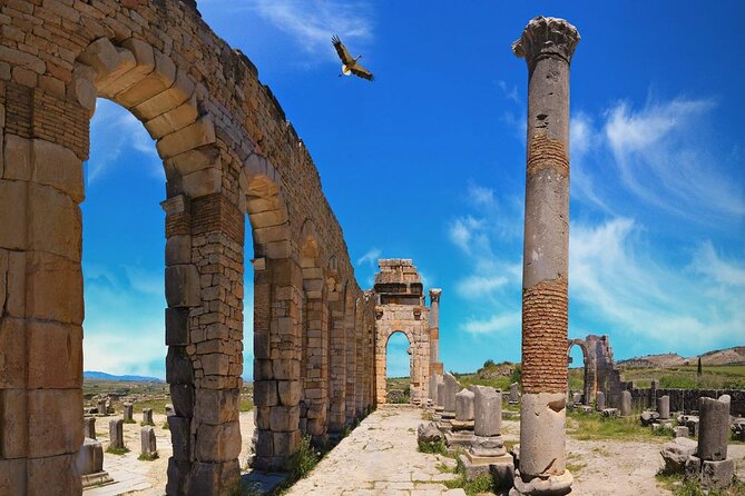 Fes to Meknes and Volubilis Day Trip - Exploring Volubilis