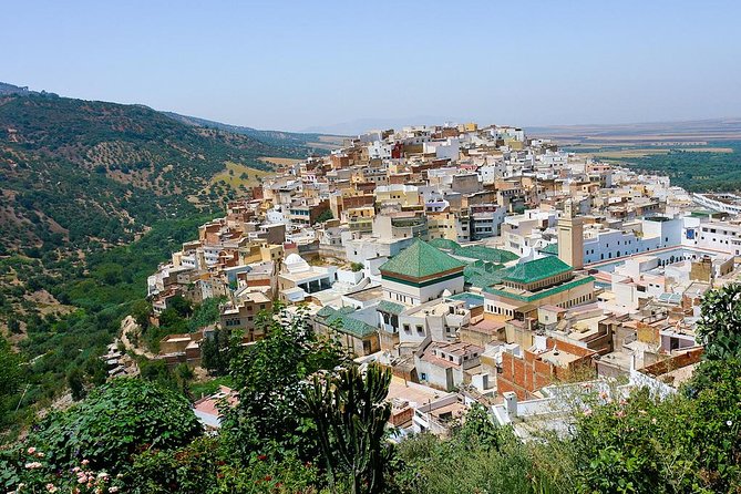 Fez to Meknes,Moulay Idriss & Volubilis Day Trip - Pickup and Drop-off Arrangements