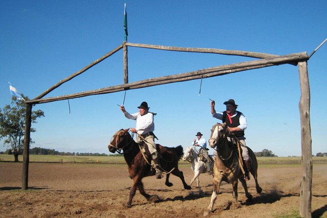 Fiesta Gaucha and Day Ranch in Santa Susana Ranch - Traveler Reviews