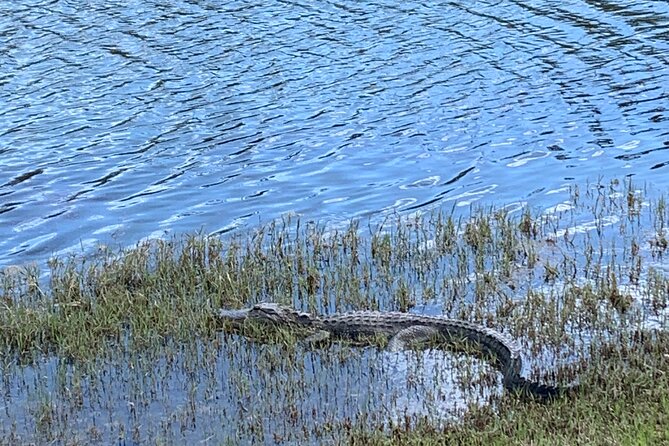 Florida Backroads E-Bike Tour - Schedule and Pricing