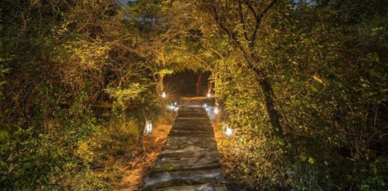 Four-Day Luxury Camping and Photography Expedition - Included Services and Meals