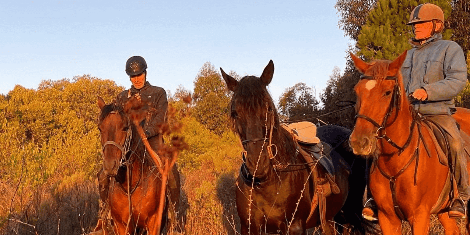 Franschhoek: Full-Day Horseback Riding and Wine Tasting Tour - Participant Requirements