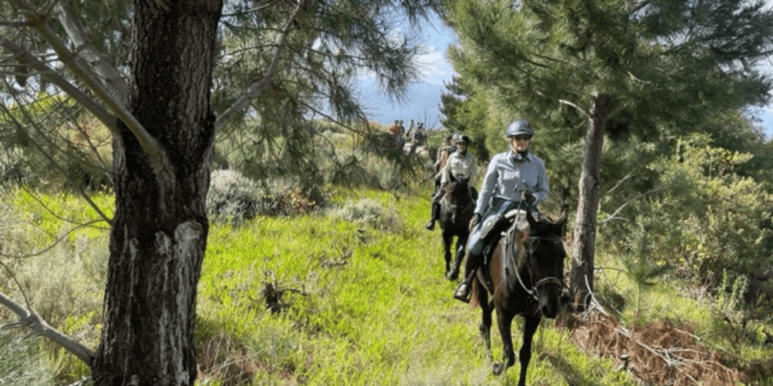 Franschhoek: Half Day Horse Trail and Wine Tasting - Safety and Requirements